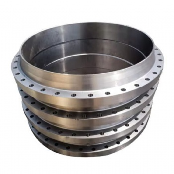 Toilet Flange Shower Arm Flange Weld Neck Flange