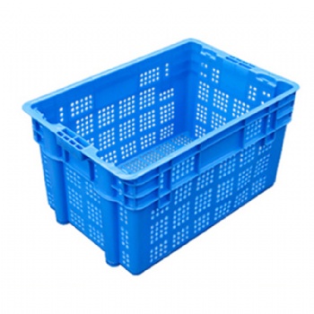 Custom Plastic Injection Molding Plastic Mold